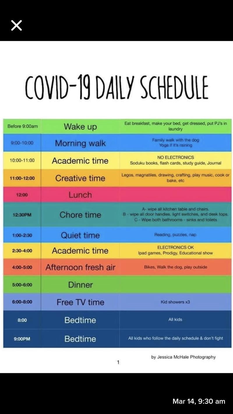 Suggested daily schedule